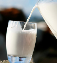 כמה חלב באמת צריך לצרוך?